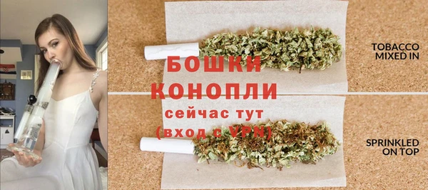 бошки Белокуриха