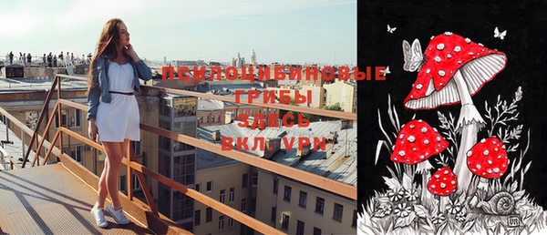 бошки Белокуриха