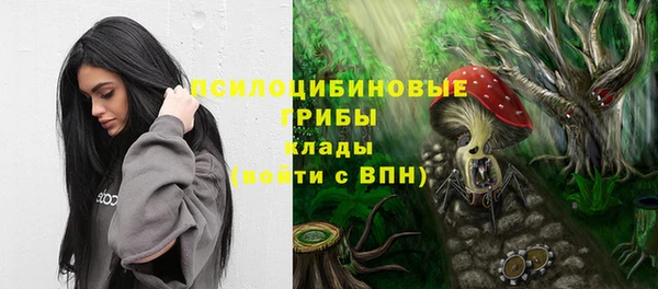 бошки Белокуриха