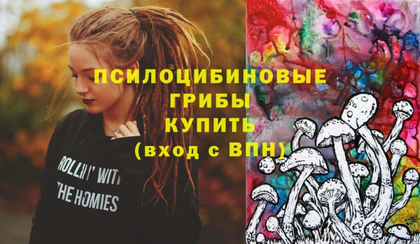 прущие крисы Белоозёрский