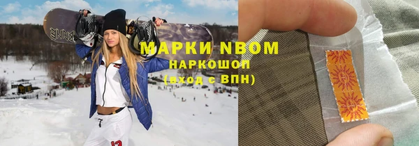 бошки Белокуриха