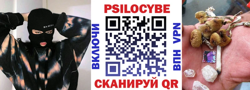 Галлюциногенные грибы Psilocybe  Кунгур 